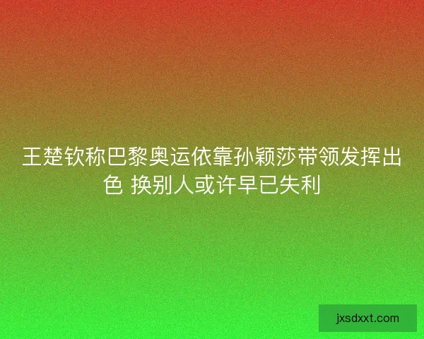 王楚钦称巴黎奥运依靠孙颖莎带领发挥出色 换别人或许早已失利