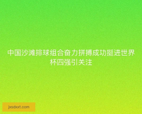 中国沙滩排球组合奋力拼搏成功挺进世界杯四强引关注